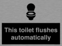 this-toilet-flushes-automatically~